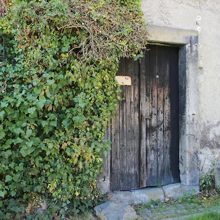 Hochwaldblick Apartment *